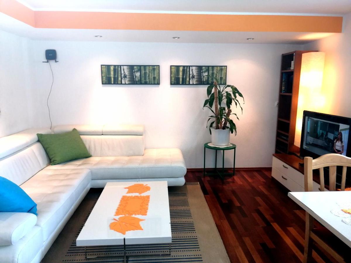 Mateja House - Apartments In Zirovnica Rodine 外观 照片