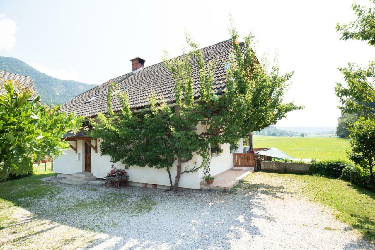 Mateja House - Apartments In Zirovnica Rodine 外观 照片