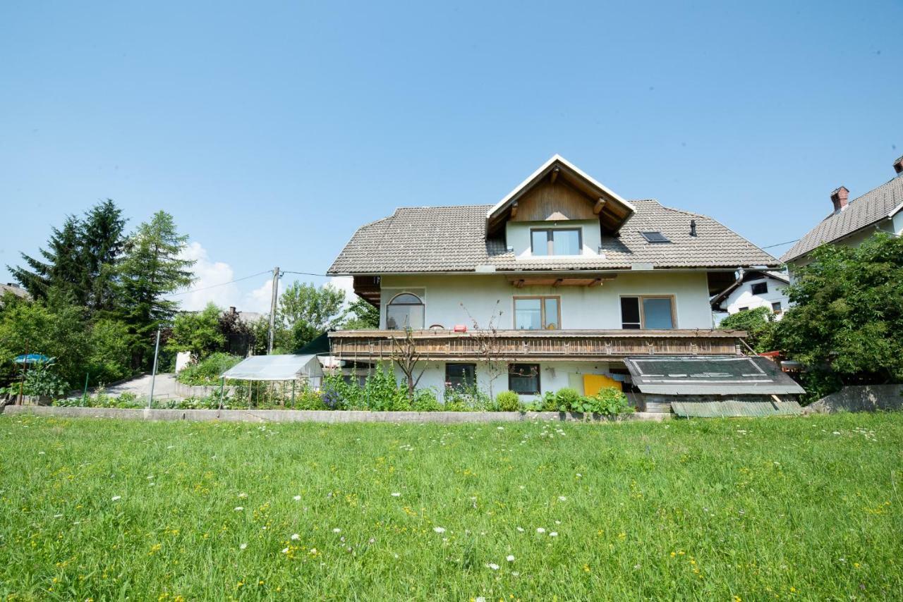 Mateja House - Apartments In Zirovnica Rodine 外观 照片